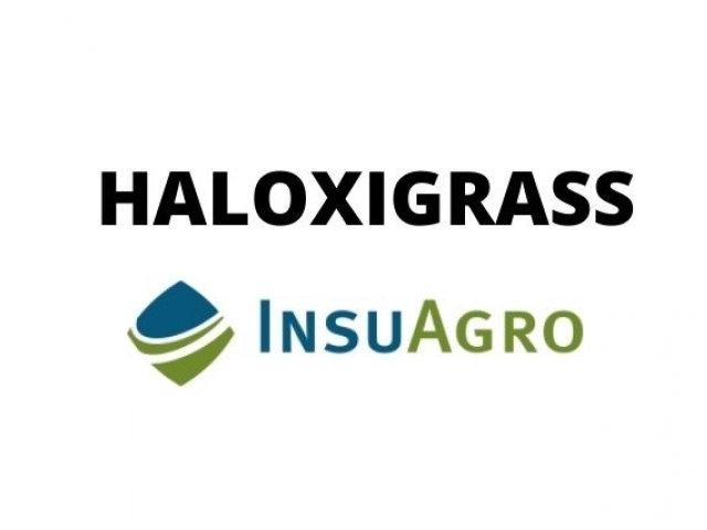 HALOXYGRASS