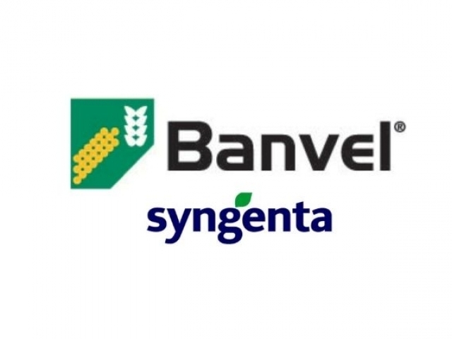 DICAMBA BANVEL ® 