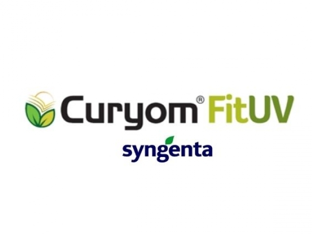 CURYOM ® FIT UV