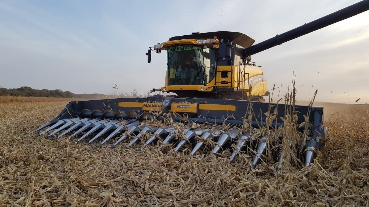 Compromiso con la innovación