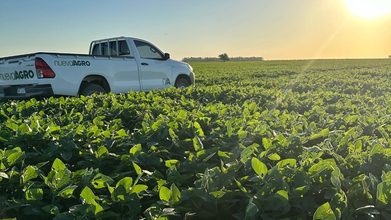 Asesoramiento a campo